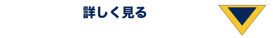 詳しく見る